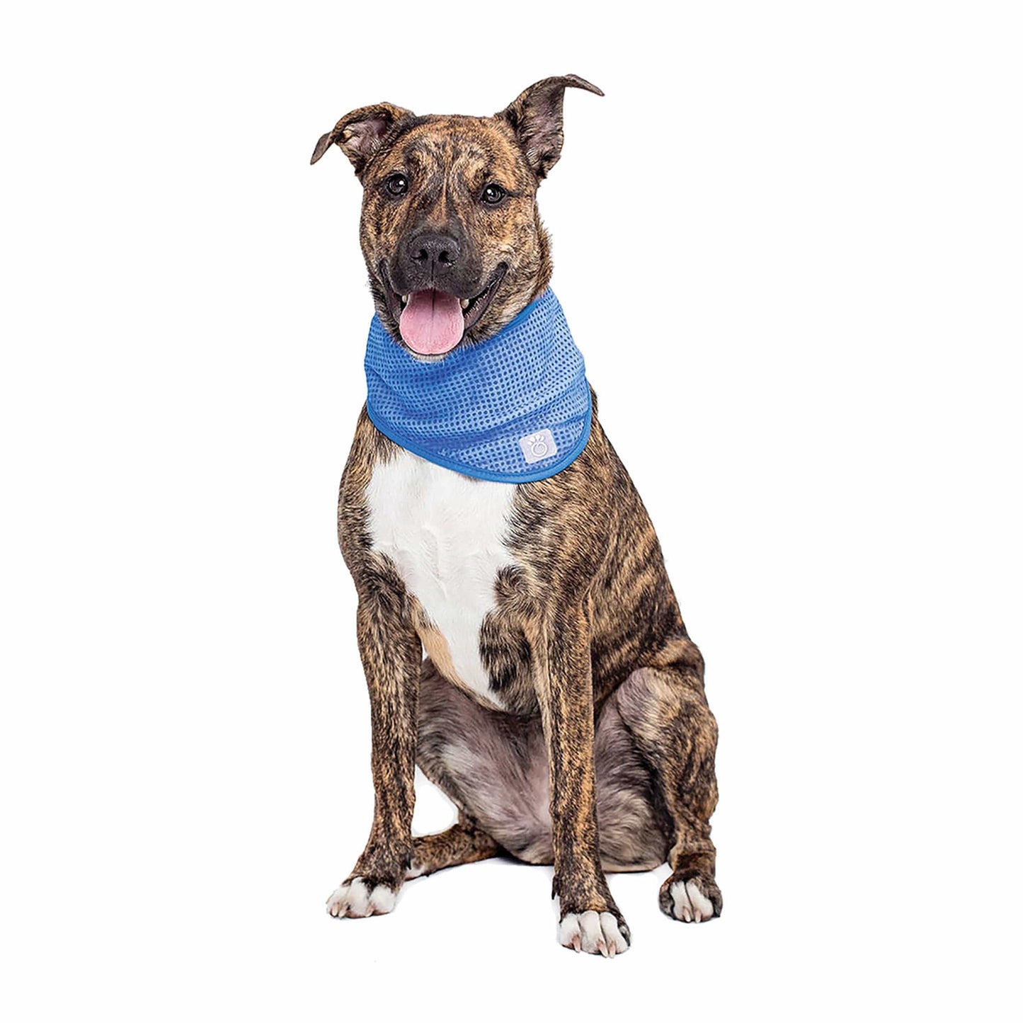 GF Pet Cooling Bandana - Blue