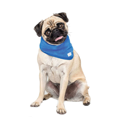 GF Pet Cooling Bandana - Blue