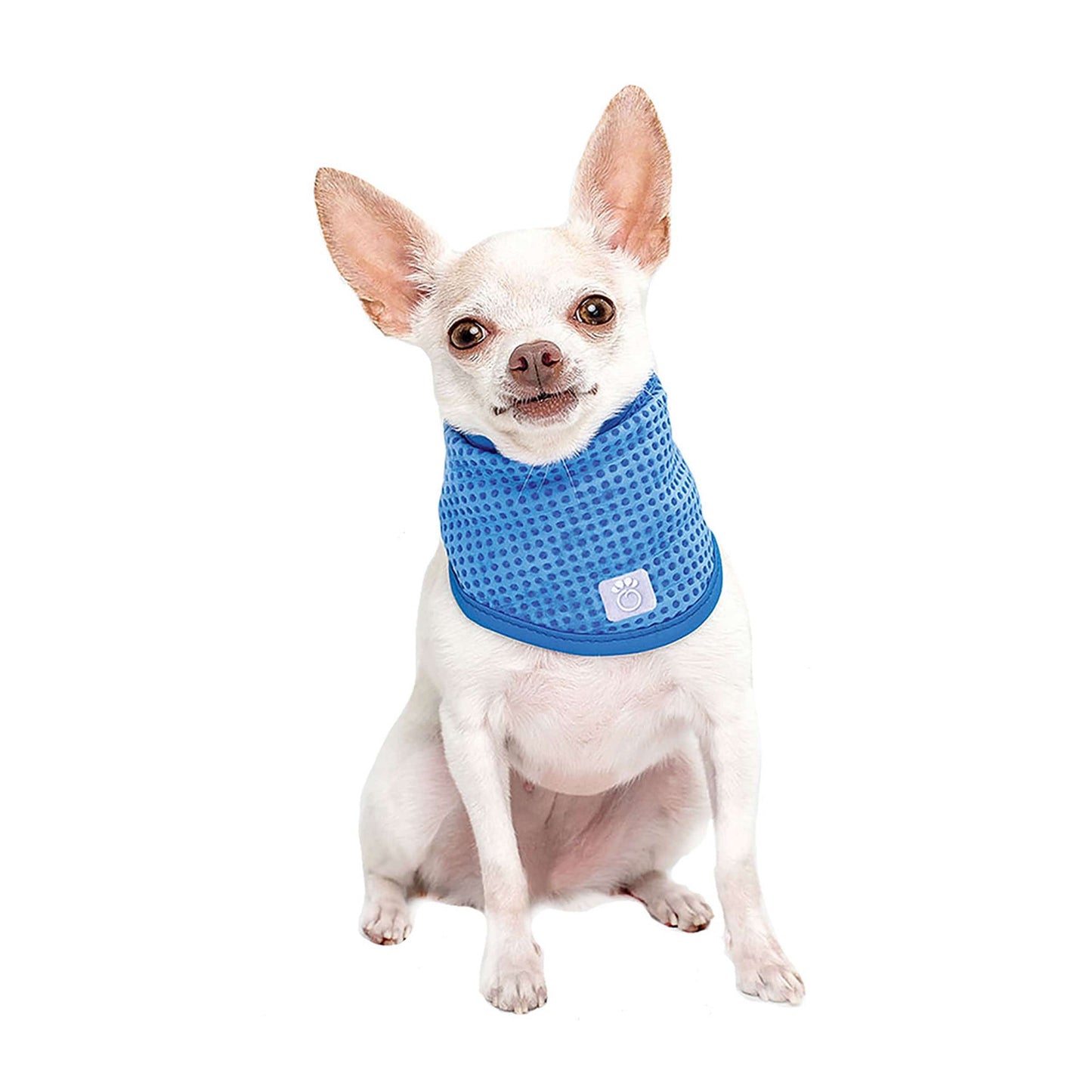 GF Pet Cooling Bandana - Blue