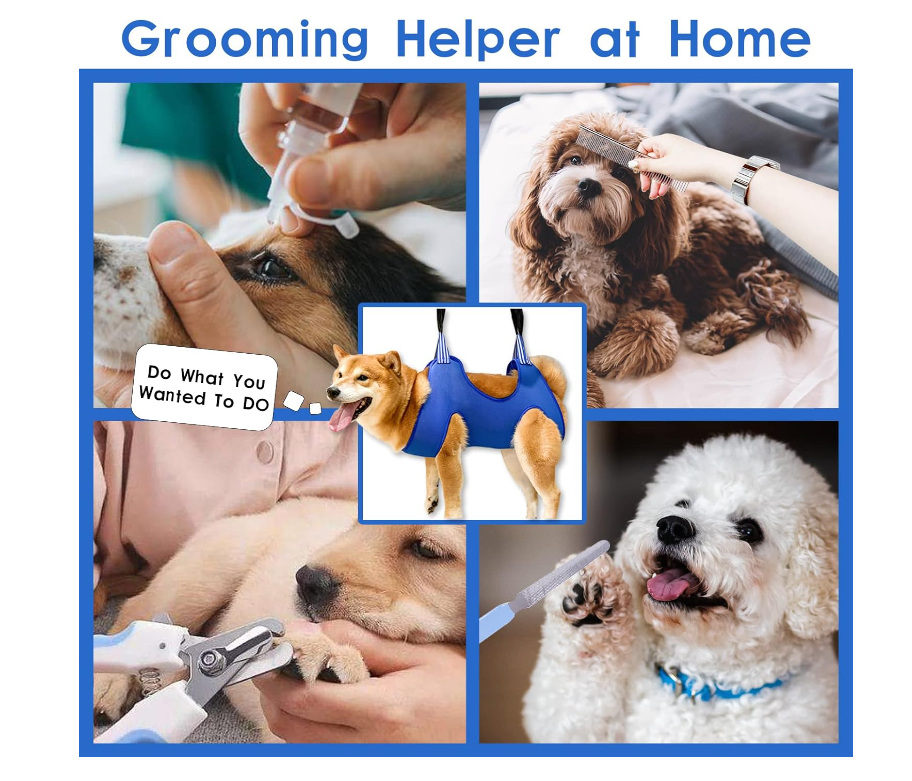 pet nail grinder