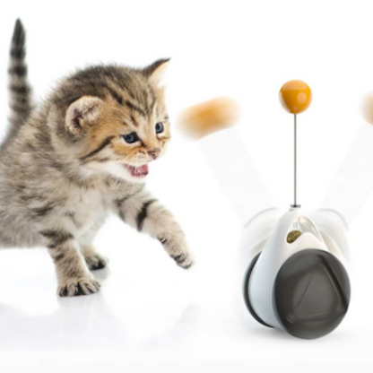 Swing and Tumble Cat Toy