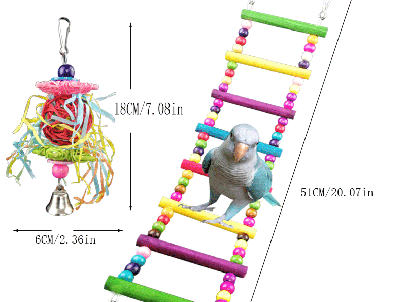 Parrot Training and Play Set