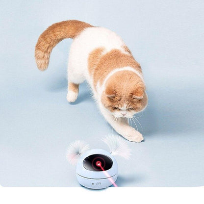 Entasser Interactive Cat Toy Ball