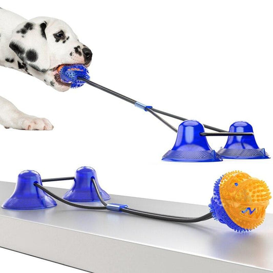 Interactive Training Chew Toy